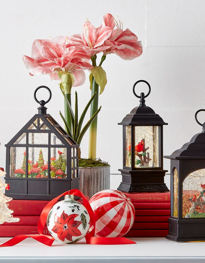 Cardinal Snow Globes & Water Lanterns